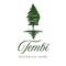 Tembi Historical Home