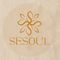 Sesoul