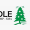 Candle_Tree_School
