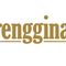 PT Trengginas Daya Insani