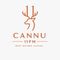 CANNU 11PM