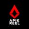 Apik Reel Studio