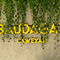 Saudagar Laweyan Group