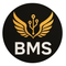 BMS Group