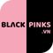 Công ty cổ phần BlackPinks.vn