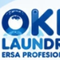 OKE LAUNDRY ERSА PROFESIONAL