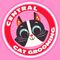 Central Cat's Grooming