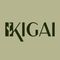Ikigai Acai & Froyo Bar
