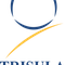 Pt Trisula Textile Industries Tbk