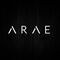 ARAE INOVASI INDONESIA