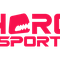 Hero Esports