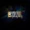 CV Kiwil Tech Bussines