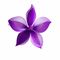 Orchid Beauty Centre