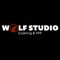 Wolf Studio Car Wash