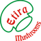 PT. EKA TIMUR RAYA