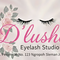Dlushe