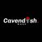 Cavendish Wash Sidoarjo