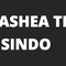 PT HASHEA TEKNOLOGI SOLUSINDO