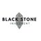 CV Black Stone Invesment