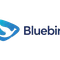 BlueBird Pool Puri Dua