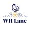 Wh Lane Mini Soccer