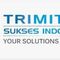 Trimitra Sukses Indonesia (Trisendo)