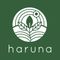 Haruna Cafe