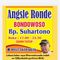 Warung Angsle Ronde Bondowoso Bp. Suhartono