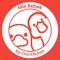 Mie Bebek Cha Kitchen Bintaro