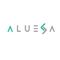 PT. Aluesa Global Digitek / IT Solution