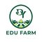 DY Edu Farm