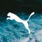 Puma Lombok