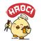 Haoci Official