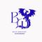 BLUEDRAGON MANAGEMENT