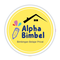 Alpha Bimbel