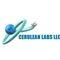Cerulean Labs Llc