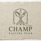 CHAMP HEALTH