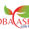 PT Kobayashi Costalc Indonesia