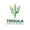 PT Trisula Mobilitas Indonesia