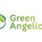 Green Angelica