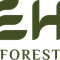 HeHa Forest