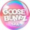 Goosebumz Sensory Spa