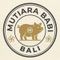 Mutiara Babi Bali