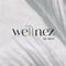 Wellnez - Reflexology and Beyond