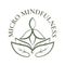 Micro Mindfulness