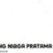 PT. Bintang Niaga Pratama