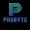 Probyte Agency