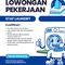 anom laundry