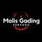 Molis Gading Serpong