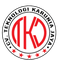 CV. Teknologi Karunia Jaya